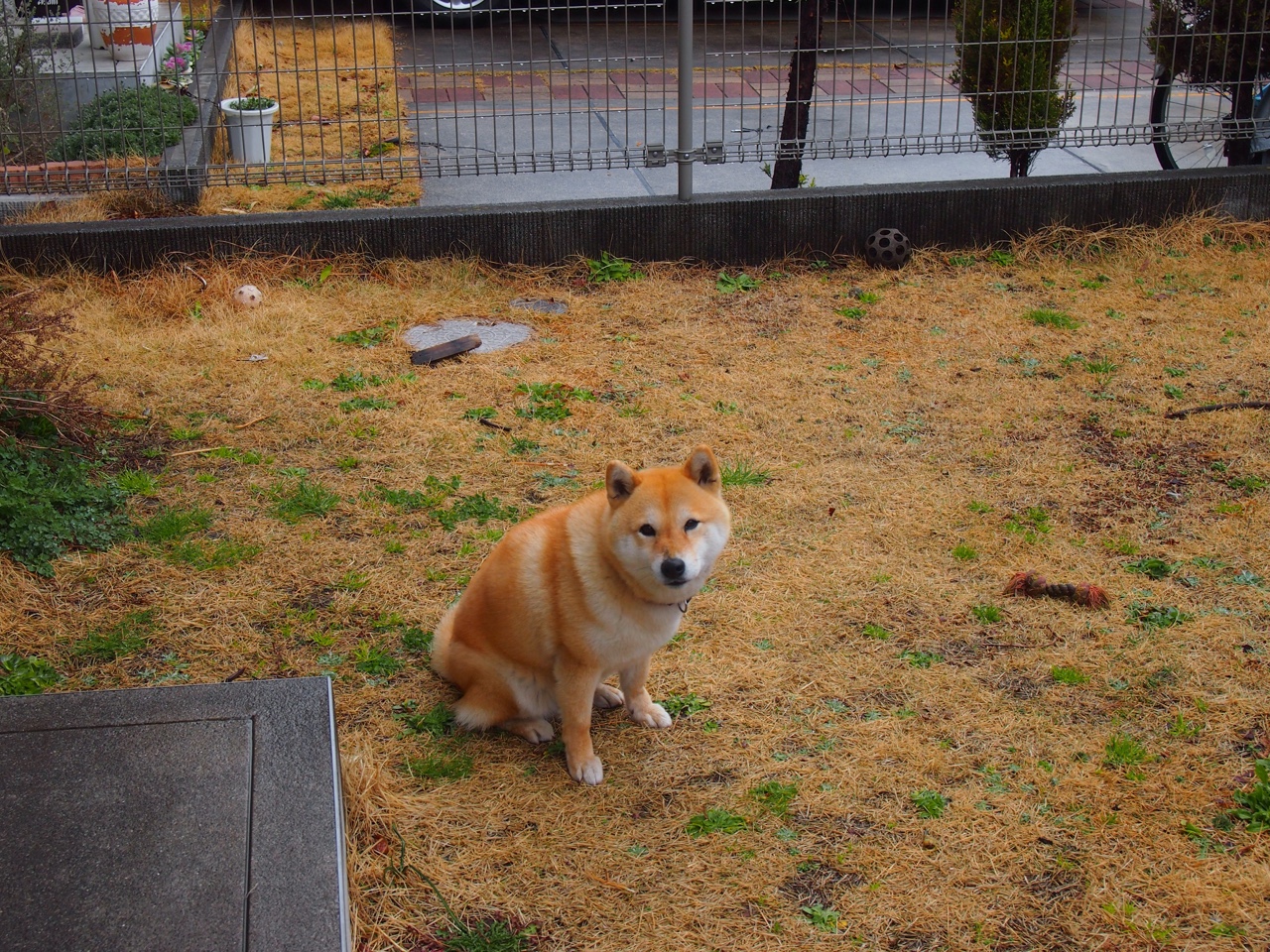 九游平台官网-史上最“燃”的季后赛夜战，哪些比赛你还在回味？，季后赛play in